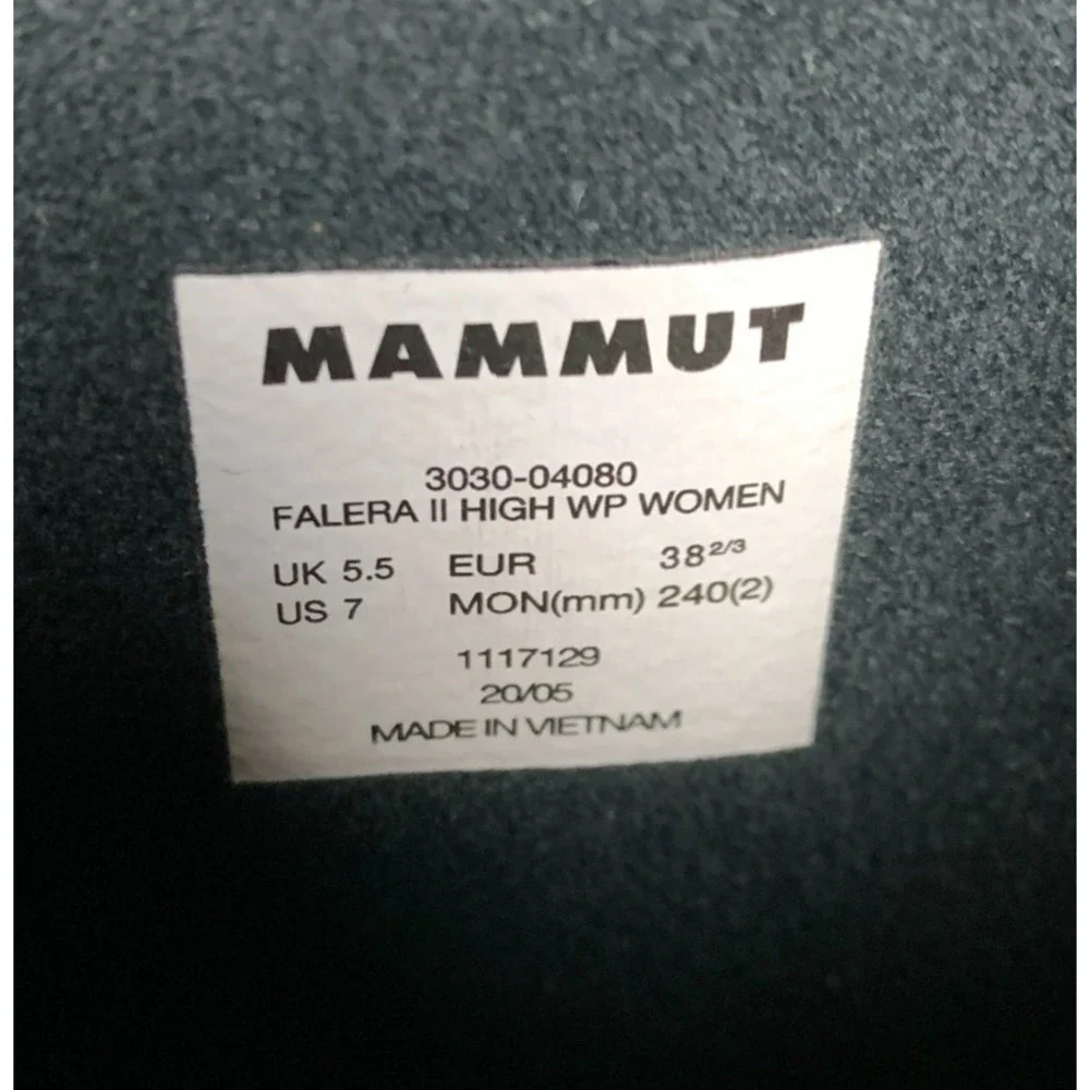 Mammut falera ii